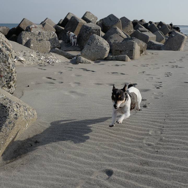 A2af9ad0 2910 4617 8838 f978aa301251 1553572594876