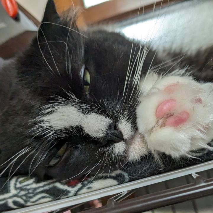 A2af9beb 6a22 4384 b2f8 a66627c643ba 1714285708461