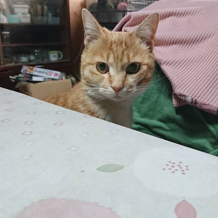 A2afbeab 637f 48e5 aa64 40c0cff8b3e8 1586897728038