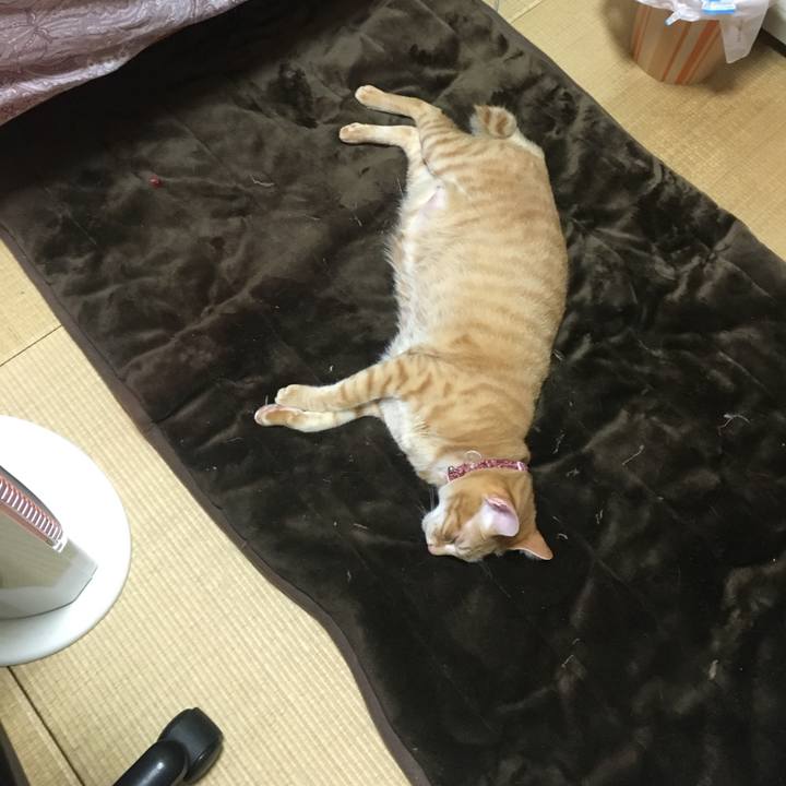 A2affbc8 2203 409f 8613 9d01e781514f 1515765177930