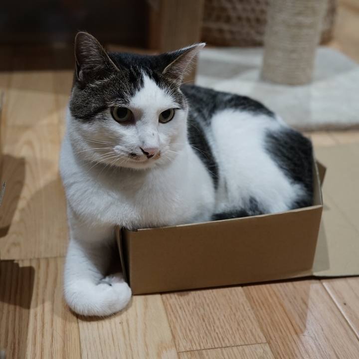 A2b03be2 3bd0 4ba7 8724 2232036eca05 1562295667310