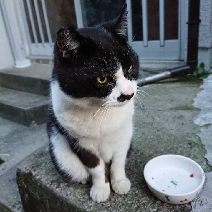 A2b03e83 c4af 477b b6ff 0ef91a9c2cf6 1679477124498