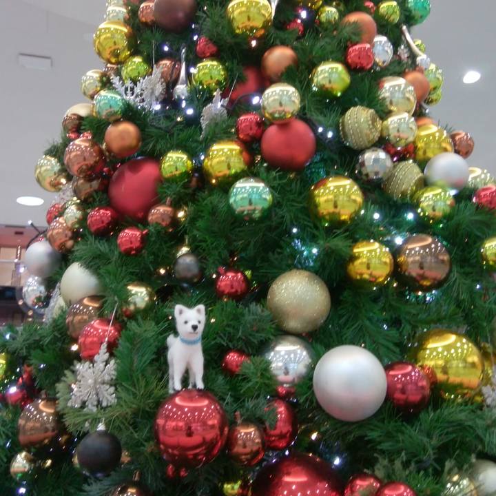 A2b07c83 aaa8 4f75 893d 226c9b387f3f 1544605423386