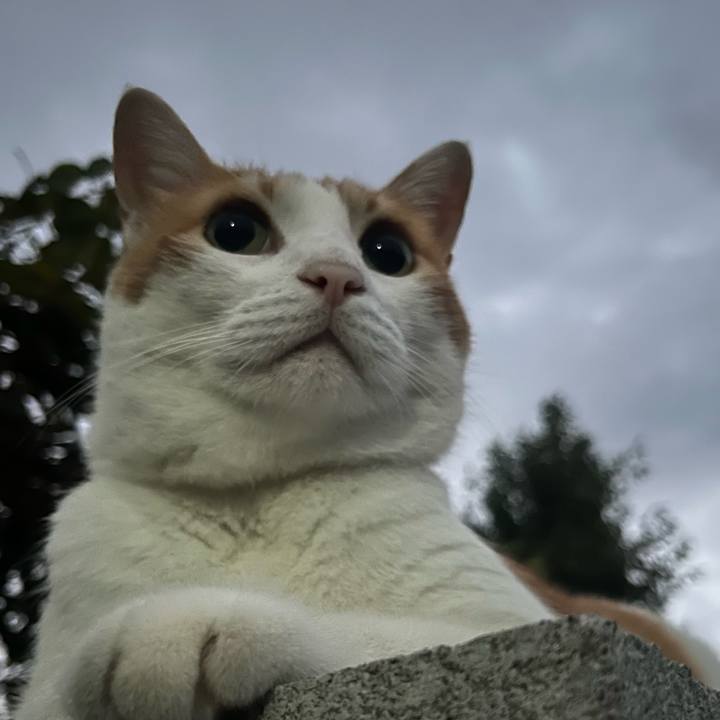 A2b08e94 8b9c 467d 8773 936ee9a2307c 1756031143822