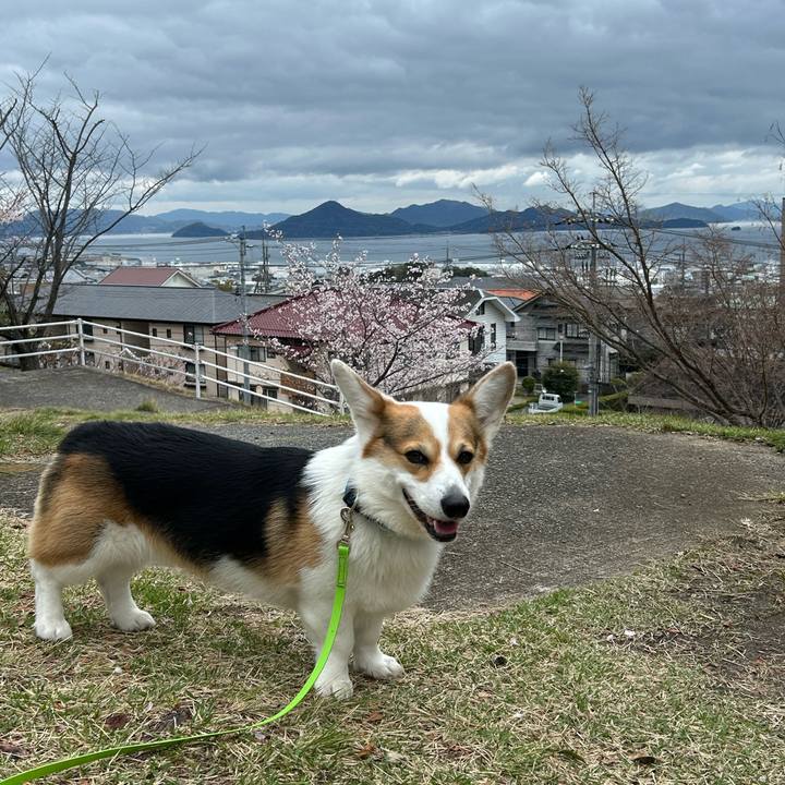 A2b097f9 500e 4f88 aefd 61d6720c964c 1775018756354