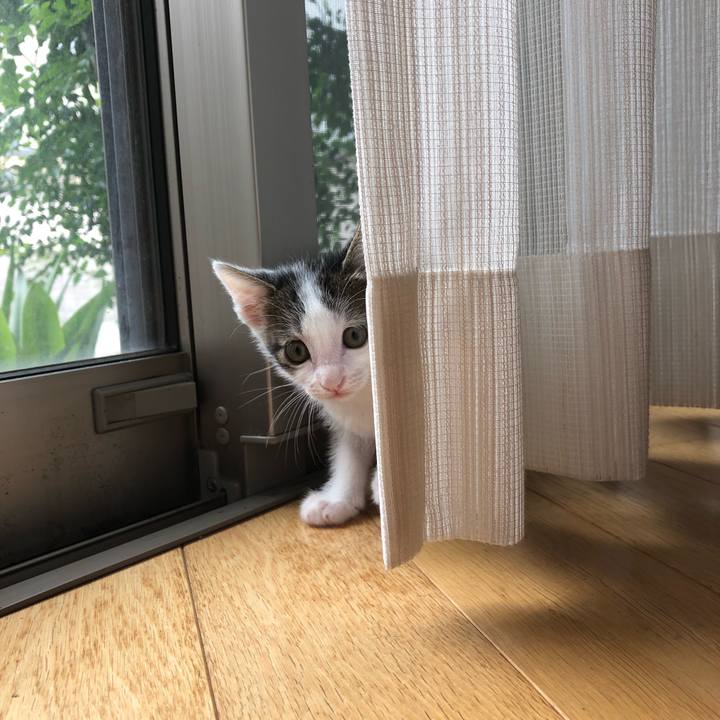 A2b0a735 059b 447a ba80 4238e1a4064a 1561518245338