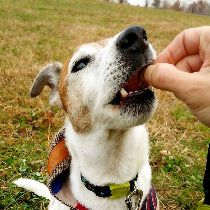 A2b0c369 7c20 456a b52f e7d8a1597be2 1514071709879