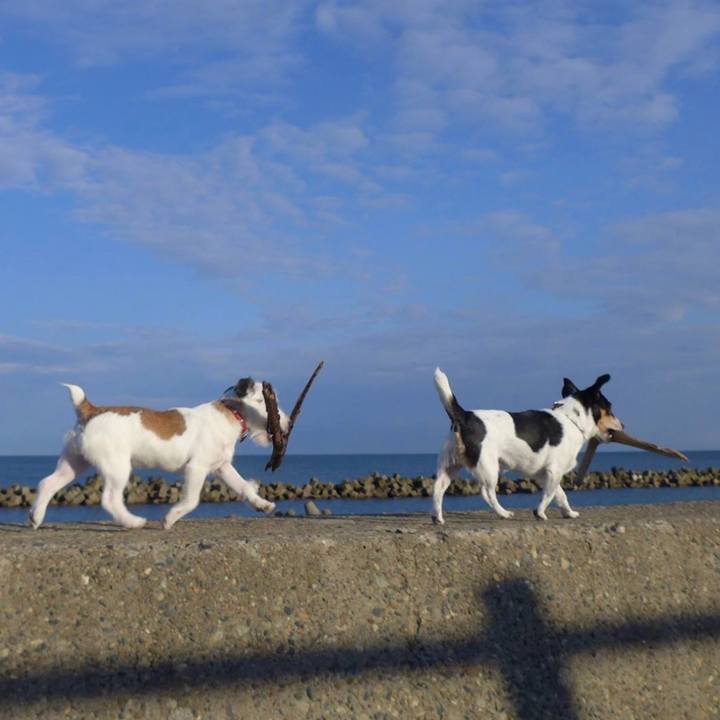 A2b0cb8e 39ca 4389 b303 3fbb4d88c12c 1666095205650