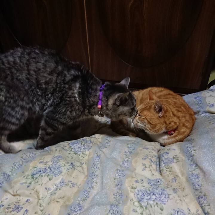 A2b0ceff e3a4 403d 87cc 04ff7f67377e 1579521601537