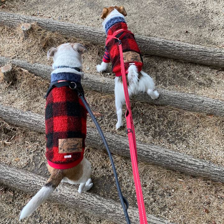 A2b0d944 ad15 4346 8d49 3c891c56487a 1640402413401