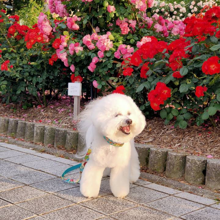 A2b10ec9 3b2a 46ec a433 b01facee373d 1763250411622