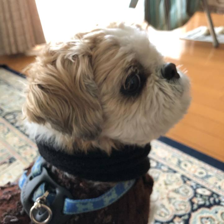 A2b117e8 cde0 4443 a096 c61ed1a2815b 1580005086121