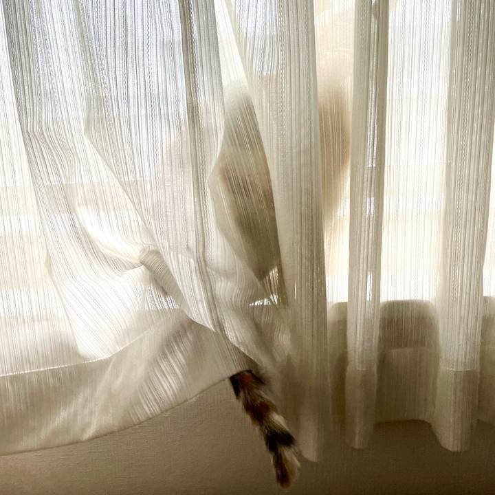 A2b1238d 0502 49da 8fa3 cf7337ce0f64 1715124989197