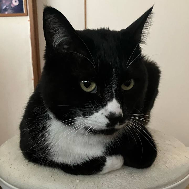 A2b133e5 496e 46d5 b652 edf7589dcee6 1715743811678