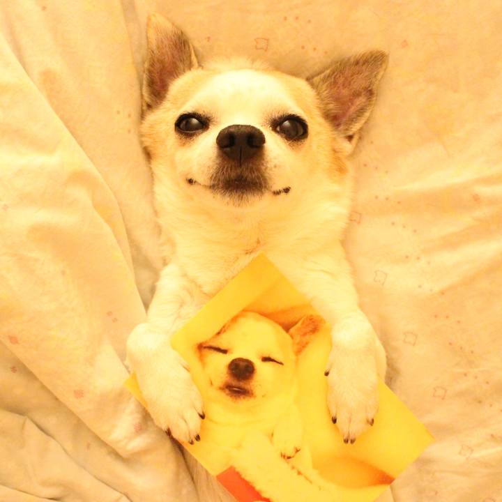 A2b1355b 8f23 48b8 a68b 334ff52e934f 1513088754582