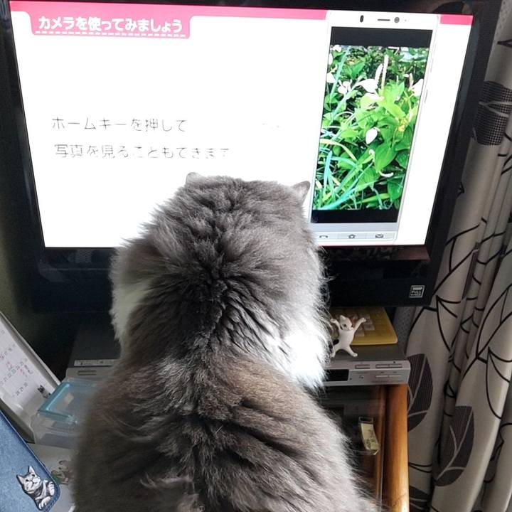 A2b181aa c1aa 48eb 88a5 60d0dd65cfda 1625456971574