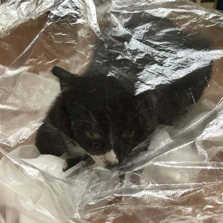 A2b1daf4 d5c7 4edb abb2 46c448718d77 1625196785399