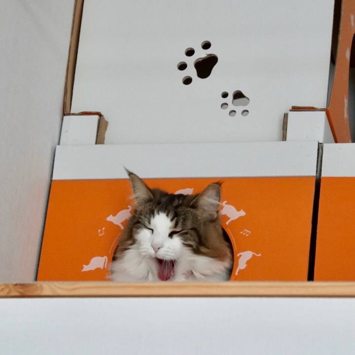 A2b1e4a9 93ef 4be8 9831 ff395e445e3a 1544416400119