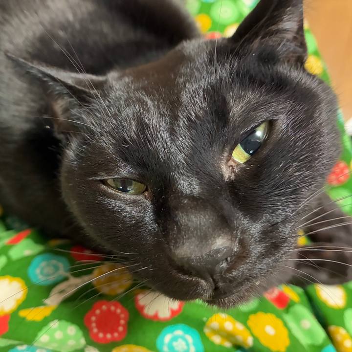 A2b20e89 82b3 4956 ae54 09e2e18bbf69 1766281382971