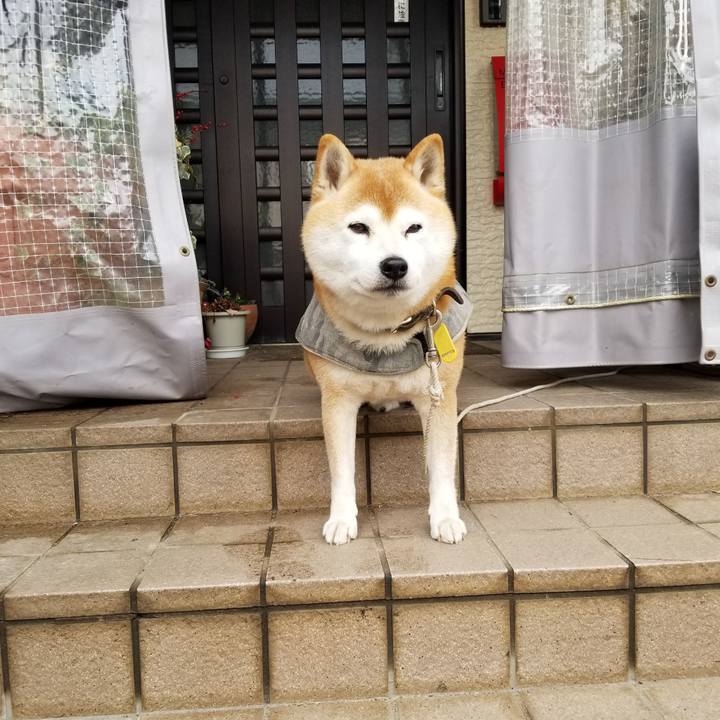 A2b2148b 756c 426b 80b1 87bc78567952 1647213972390