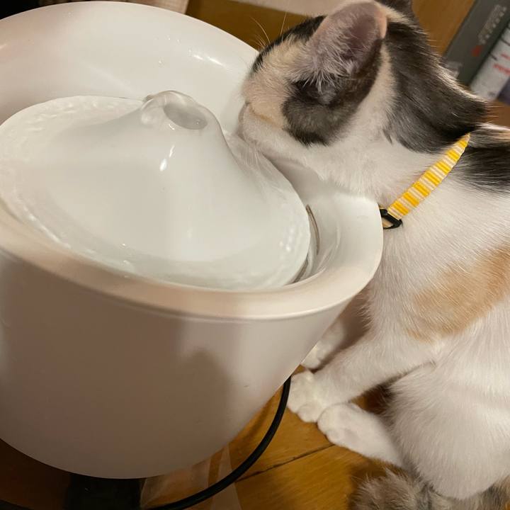 A2b22b26 b275 4955 986b 415cfa0b50bf 1661259793094