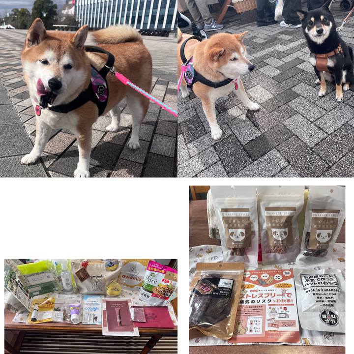 A2b24a5a 8994 4d6c ae49 b314424e180a 1709360167011