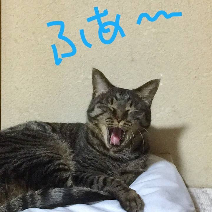 A2b264e6 da37 4768 b578 939b99e42a2b 1565603103873