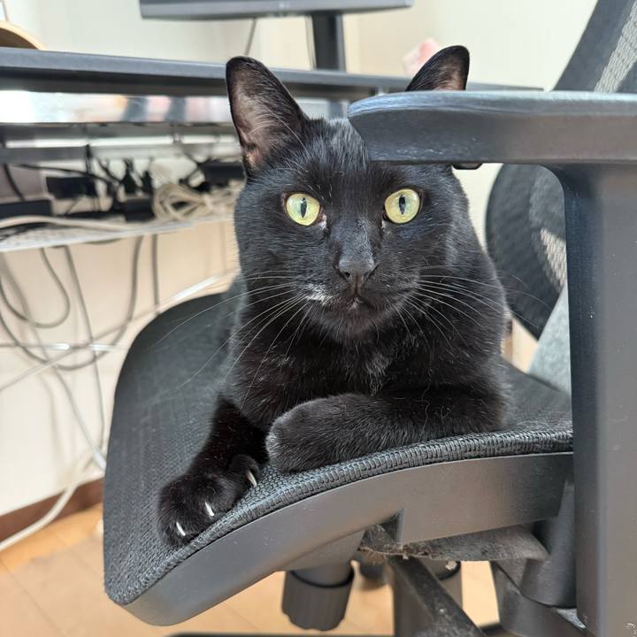 A2b2765b 1d99 481d b871 8d9826acd039 1756364002225