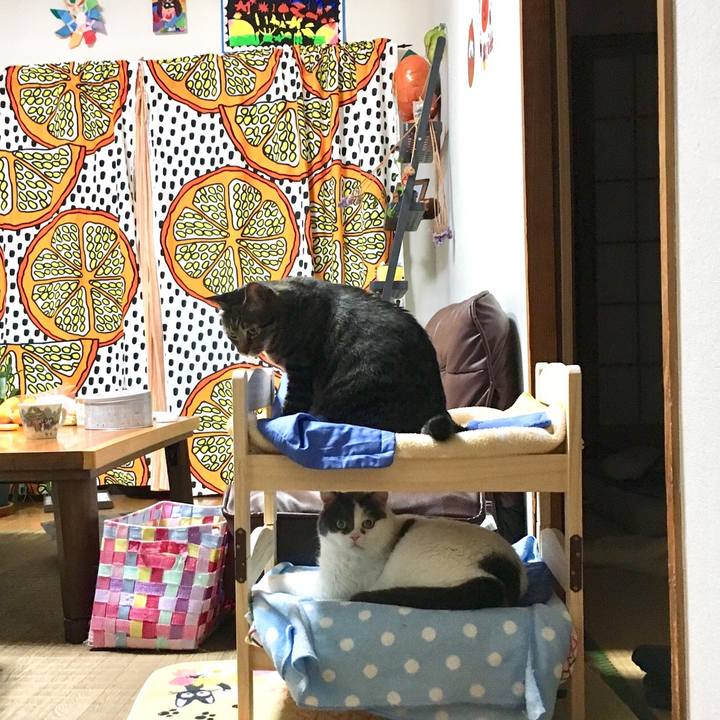 A2b28c30 755c 49fa 8f07 0901635aedcc 1509198996420