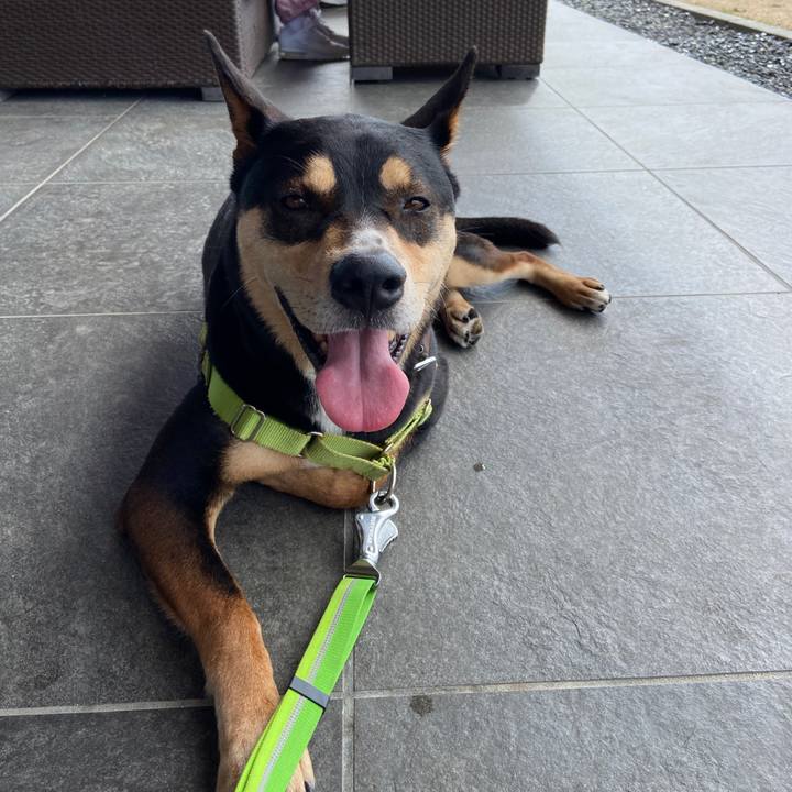 A2b29d09 0fce 4465 bdfb 97e8b90aea2d 1628324915735