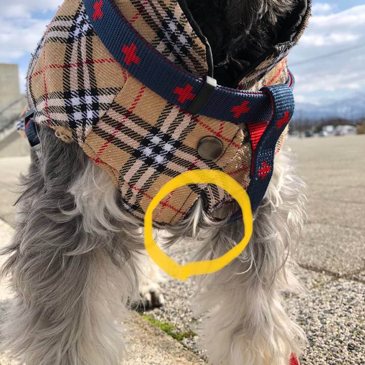 A2b2b74e f2e0 402a ac48 beaab7eb413b 1612580285337