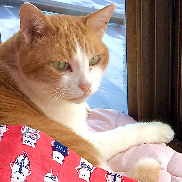 A2b2c487 bd63 4e2e b641 7a26e9b6e19c 1584689594175