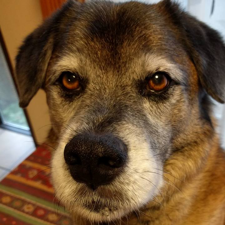 A2b2d205 f6da 4d04 bdb4 61532a7bc20d 1525936096778