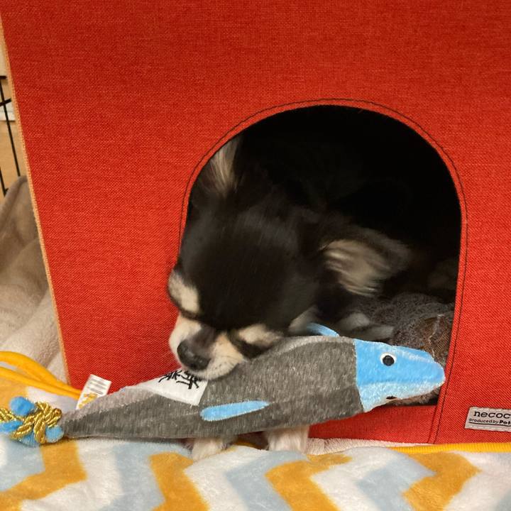 A2b2d658 73b6 47f7 acfc 5fbc6895a995 1647781491654