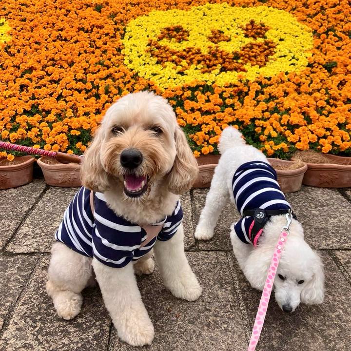 A2b2eab3 bfbb 42ec 986b 937f4acadff5 1761979192115