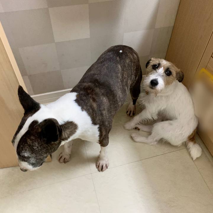 A2b3112d 03b4 4434 b443 76ed25bcd30e 1622175038023