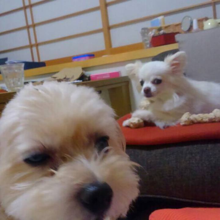 A2b31563 8dcb 4a64 bd12 120f8c28b60e 1536494740803