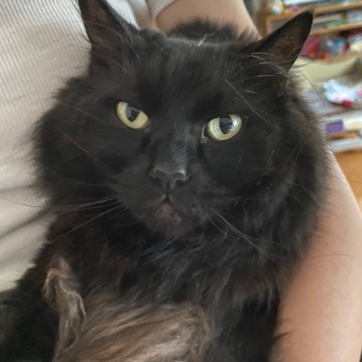 A2b3857a d743 4980 9180 8ba9d1a73150 1621388923282