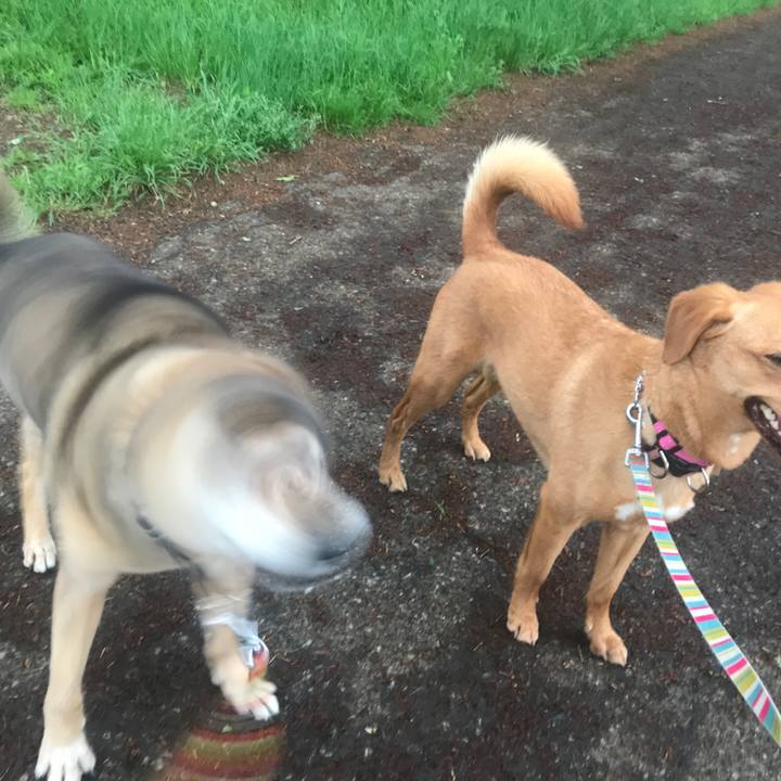 A2b39a33 b659 45b3 8b5c d52e834c6b9a 1556837907692