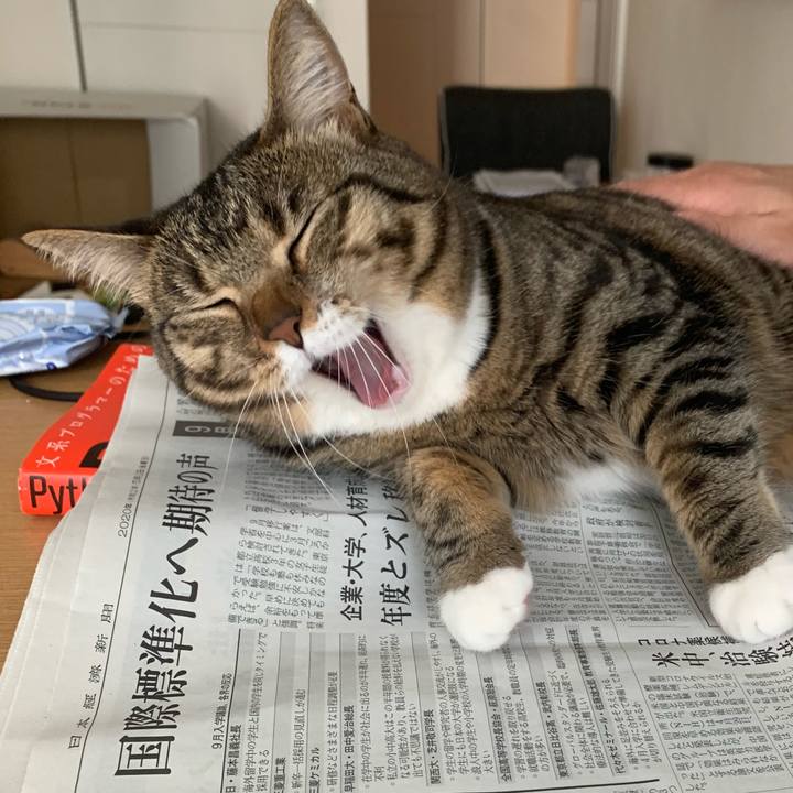 A2b3d987 de8f 44d4 b767 4d86c943c506 1604116755990