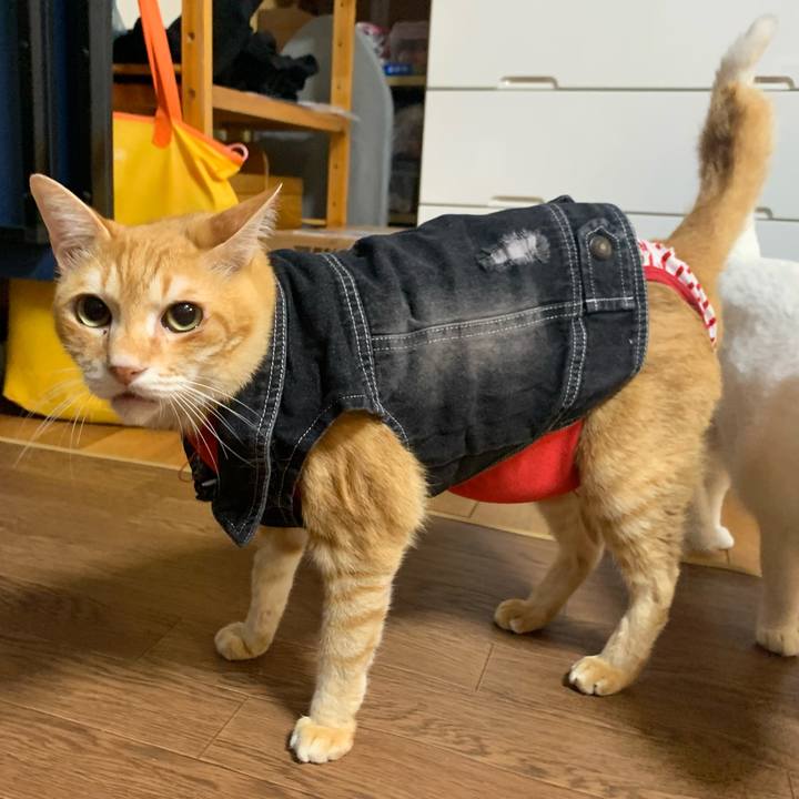 A2b3e984 6fa3 40ea 9864 acfd449055cb 1623925239287