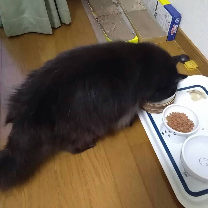 A2b41dd9 8896 426b 8288 36d5a384e842 1535153937585