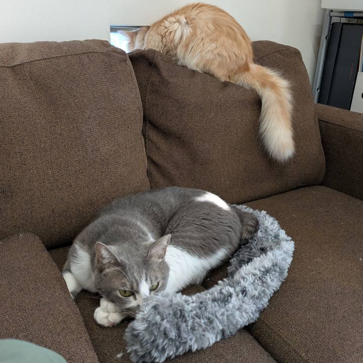 A2b41fec fac3 4790 867b 705c606964d9 1731323524506