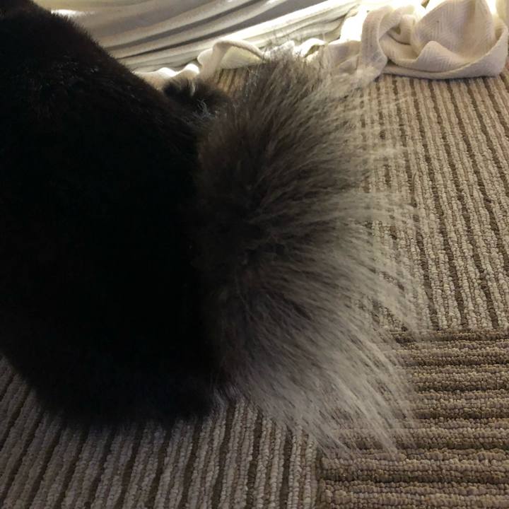 A2b46809 4207 4c59 8d16 7194a0f2c32c 1532128882789