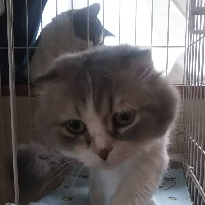 A2b47acc 8e9d 43d9 aa85 a714c5542c13 1625208811197