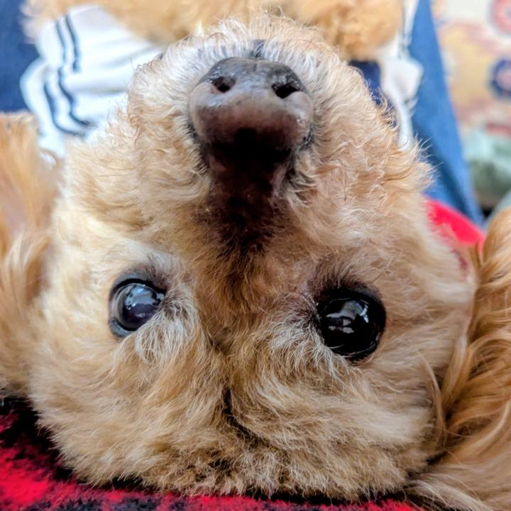 A2b48c8f 3a20 4791 a4f2 ab93ca5830af 1774656046547