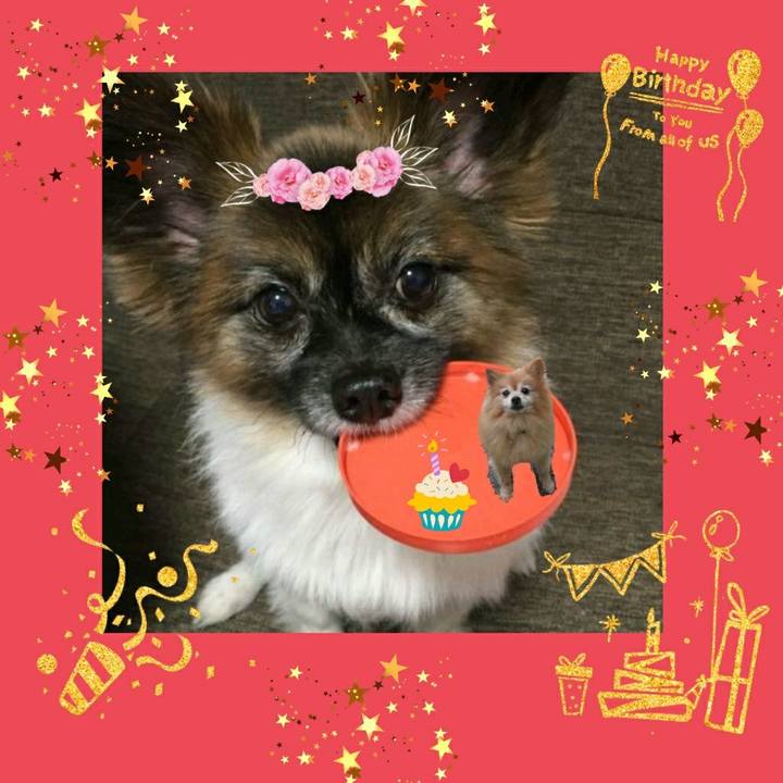 A2b51d50 aeae 45d9 a4bf 2c548b6fbab1 1546073398904