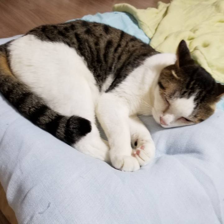 A2b52fc7 0900 4098 9fe4 19ade77d342f 1624018323855