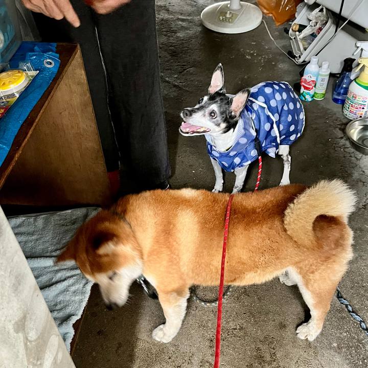 A2b54400 c7d0 4620 8ab6 e10e59f31336 1656805947379