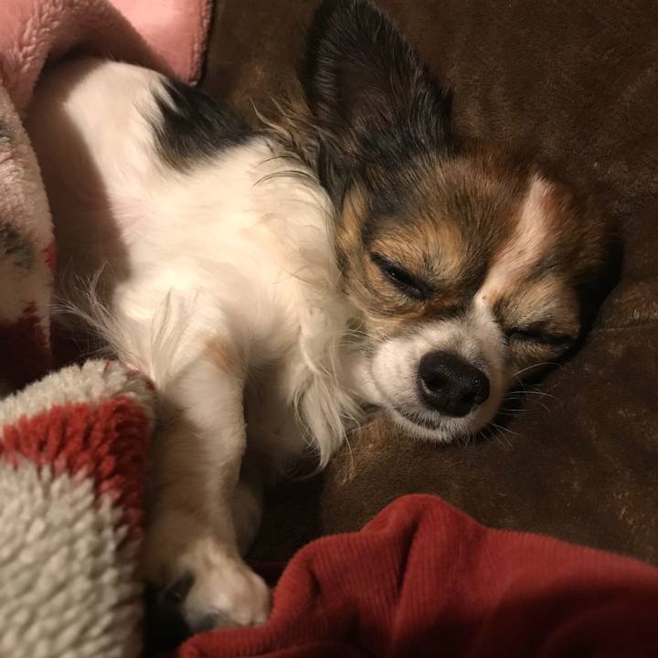 A2b55cd0 1be3 40a2 87c2 6d3e36ab0ebe 1512746080398